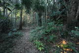 常陸 龍子山城の写真