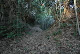 常陸 龍子山城の写真
