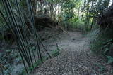 常陸 龍子山城の写真