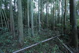 常陸 龍子山城の写真