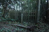 常陸 龍子山城の写真