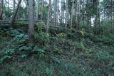 常陸 龍子山城の写真