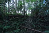 常陸 龍子山城の写真