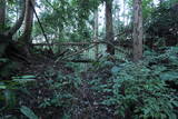 常陸 龍子山城の写真