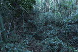 常陸 龍子山城の写真