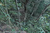 常陸 龍子山城の写真