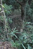 常陸 龍子山城の写真