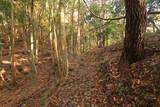 常陸 田渡城の写真