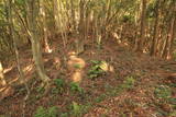 常陸 田渡城の写真