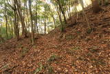 常陸 田渡城の写真