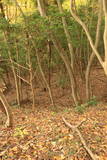 常陸 田渡城の写真