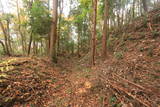 常陸 田渡城の写真