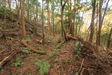 常陸 田渡城の写真