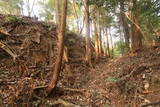 常陸 田渡城の写真