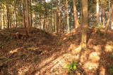 常陸 田渡城の写真