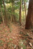 常陸 田渡城の写真