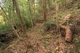 常陸 田渡城の写真