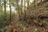 常陸 田渡城の写真