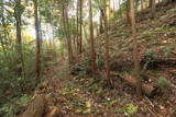 常陸 田渡城の写真