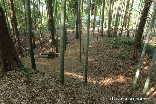 常陸 登城山城の写真