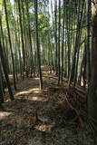 常陸 登城山城の写真