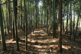 常陸 登城山城の写真