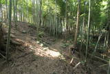 常陸 登城山城の写真