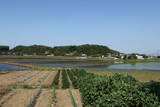 常陸 登城山城の写真