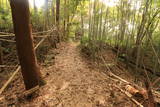 常陸 徳宿城の写真