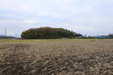 常陸 富岡城の写真
