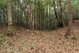 常陸 富岡城の写真