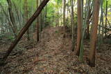 常陸 富岡城の写真