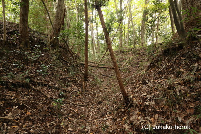 常陸 東野城(城山)の写真