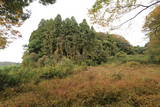 常陸 東野城(城山)の写真