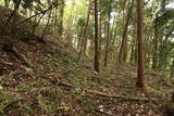 常陸 東野城(城山)の写真