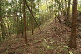 常陸 東野城(城山)の写真