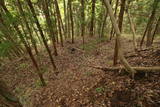 常陸 東野城(城山)の写真