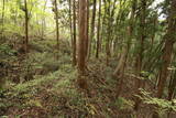 常陸 東野城(城山)の写真