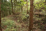 常陸 東野城(城山)の写真