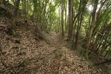 常陸 東野城(城山)の写真