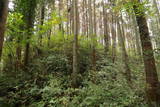 常陸 東野城(城山)の写真