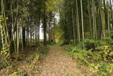 常陸 東野城(館山)の写真