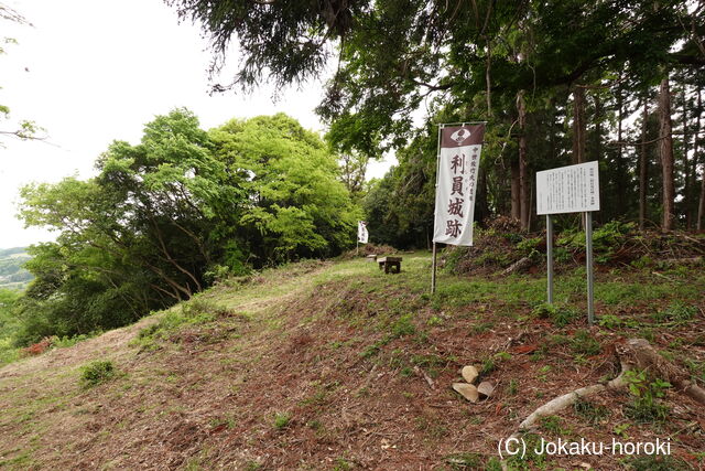 常陸 利員龍貝城の写真