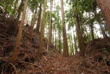 常陸 利員龍貝城の写真