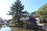 常陸 土浦城の写真