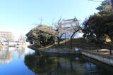 常陸 土浦城の写真