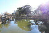 常陸 土浦城の写真