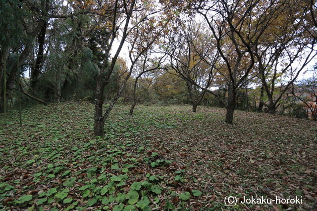 常陸 綱川館の写真