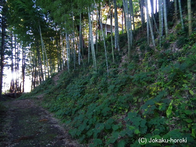 常陸 瓜連城の写真