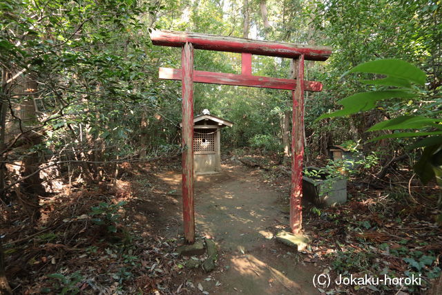 常陸 若栗城の写真